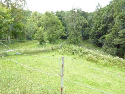 Haus kaufen in 8302 Nestelbach (Bild 1)