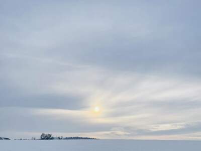 Haus kaufen in 4203 Urfahr Umgebung