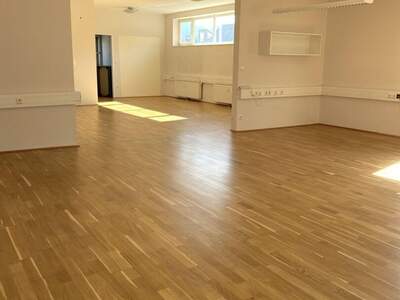 Gewerbeobjekt mieten in 5400 Hallein (Bild 2)