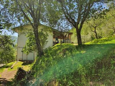 Haus kaufen in 54016 Ripola (Bild 1)