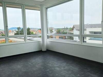 Gewerbeobjekt mieten in 4061 Pasching (Bild 4)