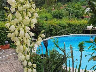 Reihenhaus kaufen in 3500 Krems (Bild 2)