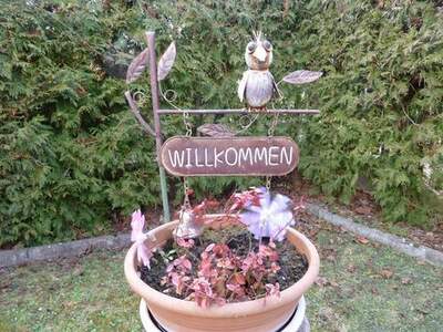 Haus kaufen in 2000 Stockerau