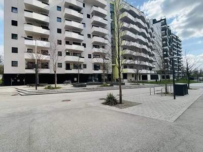 Wohnung kaufen in 1100 Wien
