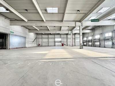 Gewerbeobjekt mieten in 2351 Wiener Neudorf (Bild 3)