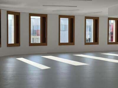 Gewerbeobjekt mieten in 1220 Wien (Bild 5)