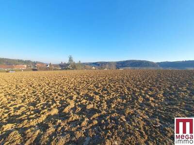 Grundstück kaufen in 8261 Sinabelkirchen
