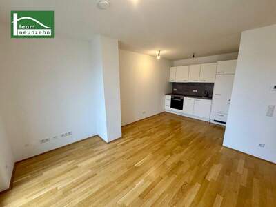 Terrassenwohnung mieten in 1220 Wien (Bild 2)