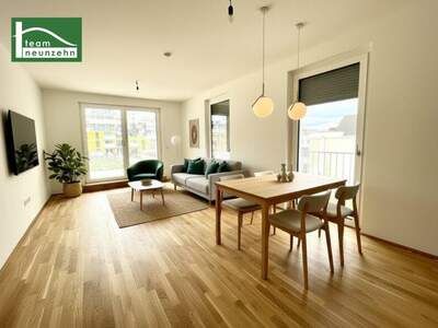 Terrassenwohnung mieten in 1220 Wien (Bild 2)