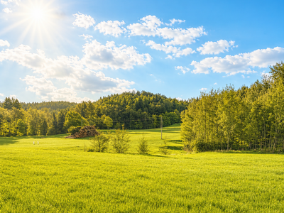Grundstück kaufen in 5233 Pischelsdorf