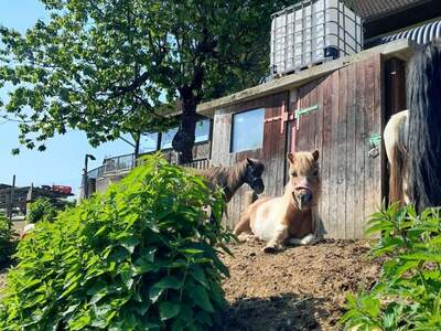 Gewerbeobjekt kaufen in 8510 Stainz (Bild 3)