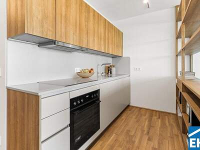 Terrassenwohnung mieten in 1200 Wien (Bild 2)