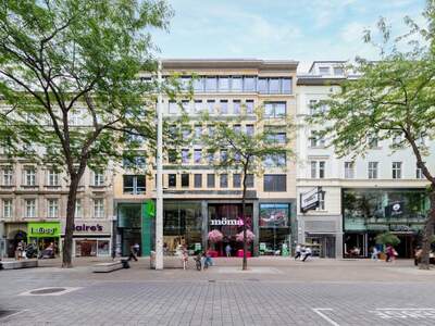 Gewerbeobjekt mieten in 1070 Wien (Bild 1)