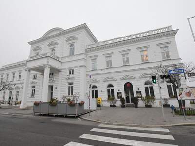 Gewerbeobjekt mieten in 1190 Wien (Bild 3)