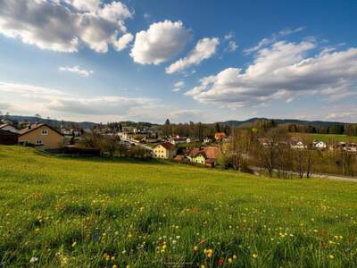 Grundstück kaufen in 3972 Bad Großpertholz