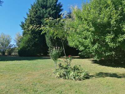 Haus kaufen in 8280 Fürstenfeld (Bild 5)
