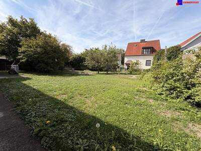 Haus kaufen in 2492 Zillingdorf
