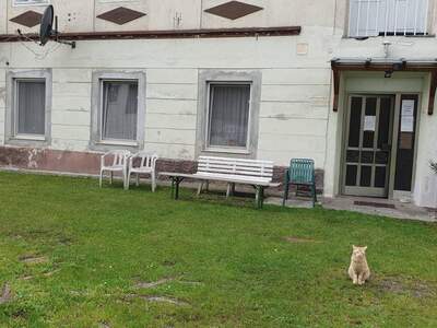 Eigentumswohnung provisionsfrei in 3100 Sankt Pölten