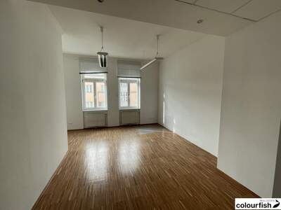 Gewerbeobjekt mieten in 1190 Wien (Bild 4)