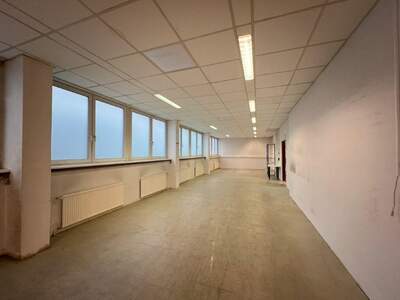 Gewerbeobjekt mieten in 1130 Wien (Bild 2)