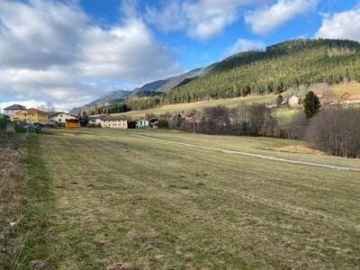 Grundstück kaufen in 2640 Prigglitz