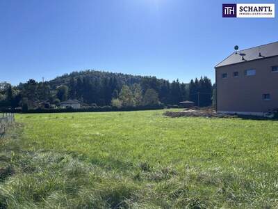 Grundstück kaufen in 8075 Hart (Bild 4)