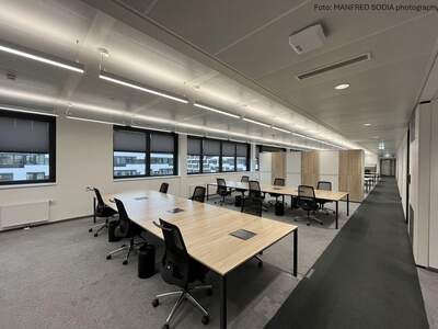 Gewerbeobjekt mieten in 1020 Wien (Bild 3)