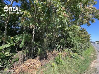 Grundstück kaufen in 2230 Gänserndorf (Bild 1)