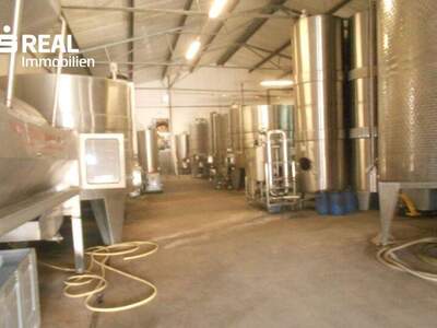 Lager kaufen in 7122 Gols (Bild 2)