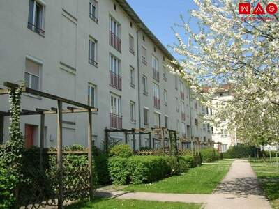 Terrassenwohnung mieten in 4060 Leonding (Bild 1)