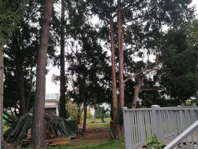 Einfamilienhaus kaufen in 2000 Stockerau (Bild 5)