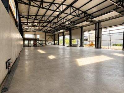 Halle kaufen in 4600 Thalheim