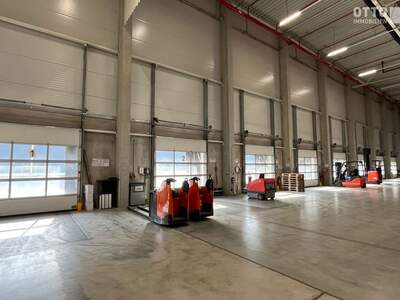 Gewerbeobjekt mieten in 2431 Enzersdorf (Bild 4)