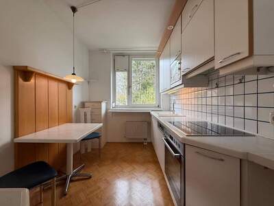 Wohnung provisionsfrei mieten in 8045 Graz