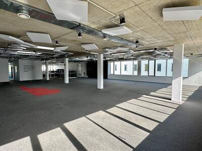 Gewerbeobjekt mieten in 3400 Klosterneuburg