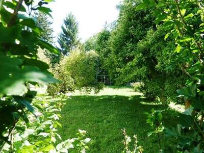 Haus kaufen in 2000 Stockerau