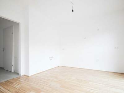 Gewerbeobjekt kaufen in 2680 Steinhaus (Bild 5)