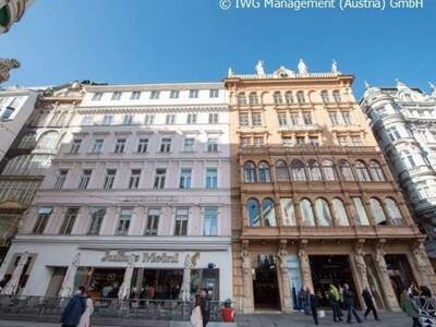 Gewerbeobjekt mieten in 1010 Wien (Bild 1)