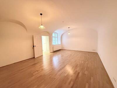 Büro / Praxis mieten in 1010 Wien (Bild 1)