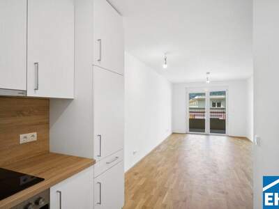 Terrassenwohnung mieten in 8020 Graz (Bild 2)