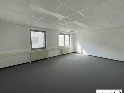 Gewerbeobjekt mieten in 1060 Wien (Bild 4)