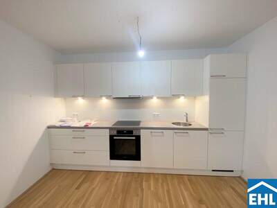 Terrassenwohnung mieten in 1030 Wien (Bild 2)