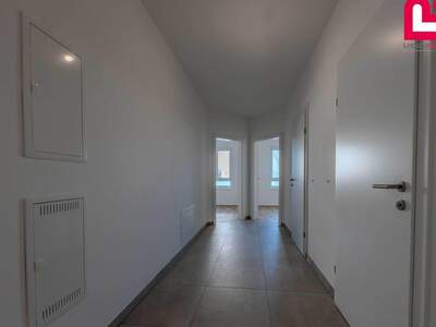 Wohnung kaufen in 4284 Tragwein (Bild 5)