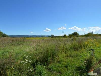 Grundstück kaufen in 2700 Wr. Neustadt (Bild 4)
