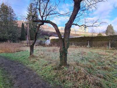 Anlageobjekt kaufen in 8051 Graz (Bild 4)