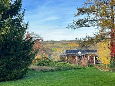 Grundstück kaufen in 3400 Weidling (Bild 2)