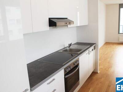 Terrassenwohnung mieten in 1110 Wien (Bild 4)
