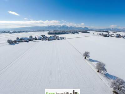 Gewerbeobjekt kaufen in 4654 Bad Wimsbach (Bild 2)