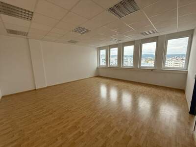 Büro / Praxis mieten in 2351 Wr. Neudorf (Bild 5)
