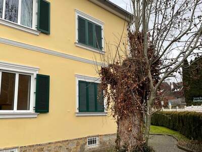 Haus kaufen in 8643 Kindberg (Bild 5)